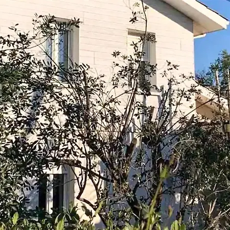 3 Bedroom Lovely In Feriehus Andernos-les-Bains