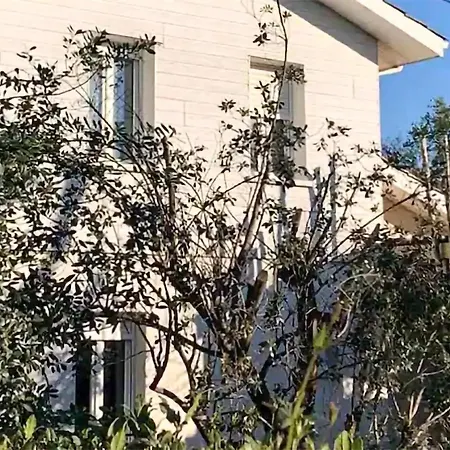 3 Bedroom Gorgeous In Casa de Férias Andernos-les-Bains